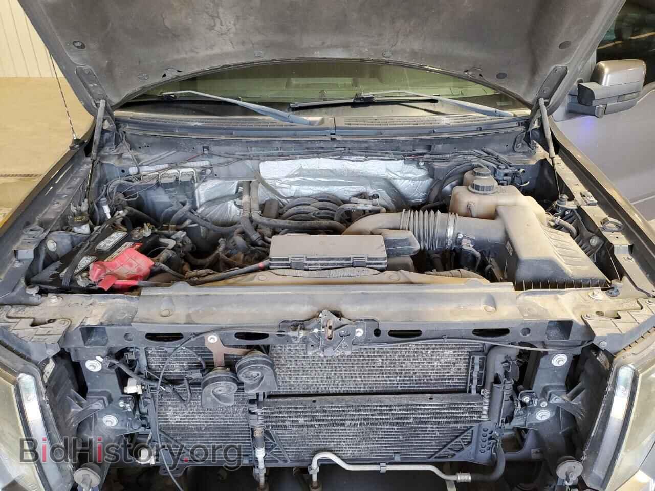 2013 FORD F150 - VIN: 1FTFW1EF3DKE32152 - Фото 11
