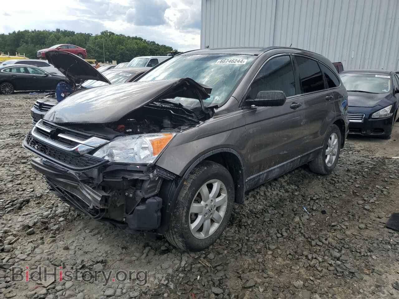 Photo 5J6RE3H48BL045376 - HONDA CRV 2011