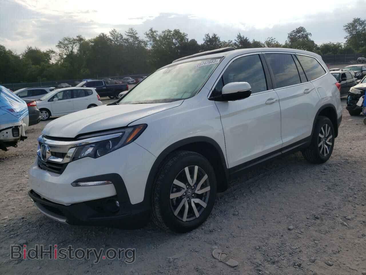 Фотография 5FNYF6H54MB018318 - HONDA PILOT 2021