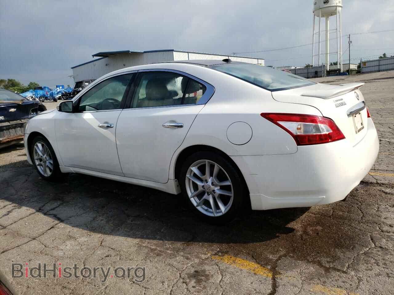 2011 NISSAN MAXIMA - VIN: 1N4AA5AP7BC841296 - Фото 2