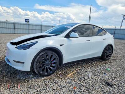 2023 Tesla MODEL Y, white — VIN 7SAYGDEF7PF848586, Copart