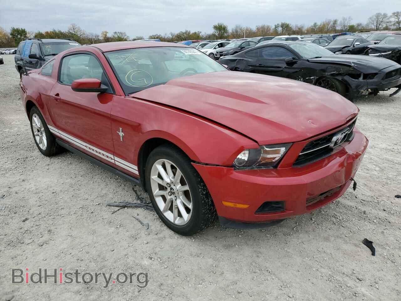 Фотография 1ZVBP8AN6A5123803 - FORD MUSTANG 2010