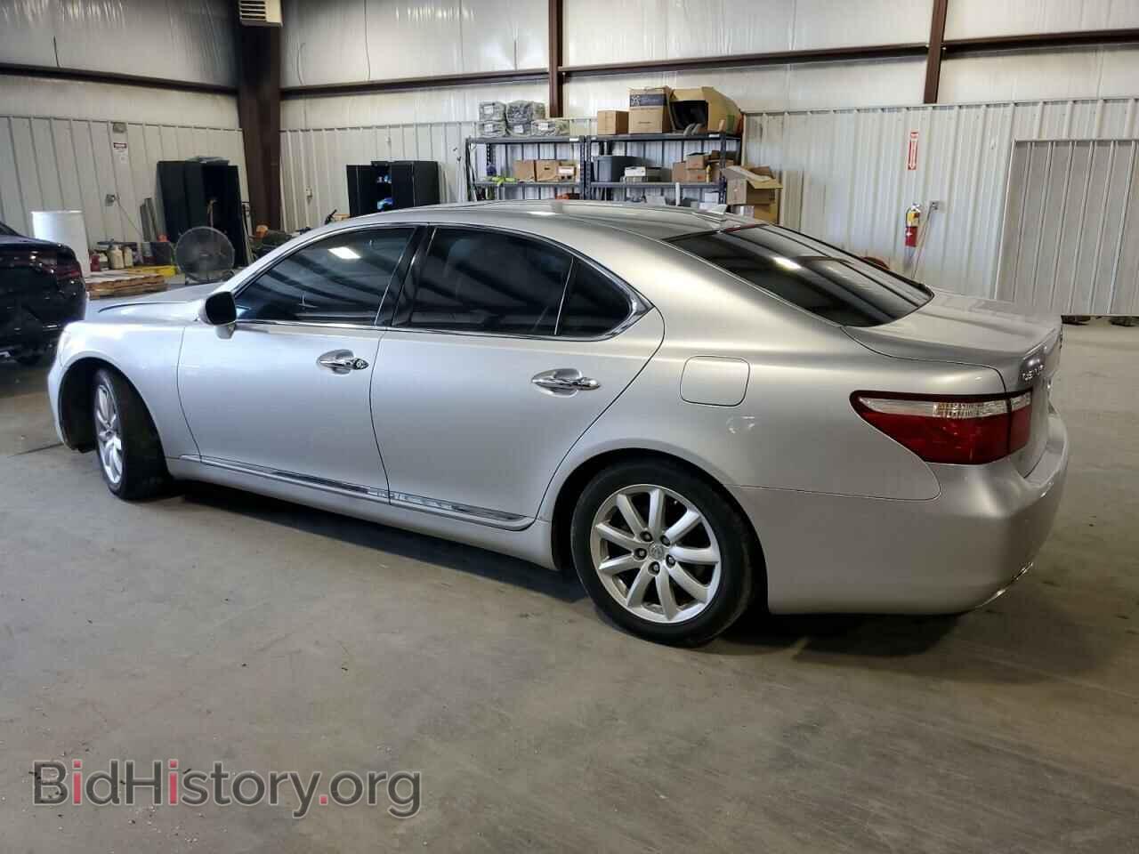 2009 LEXUS LS460 - VIN: JTHBL46F695086125 - Фото 2