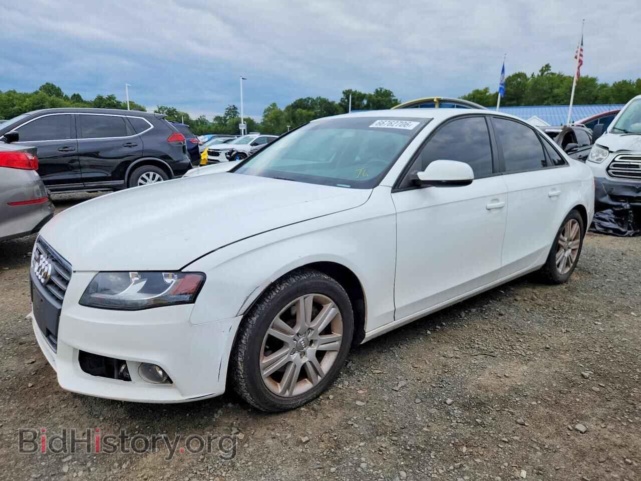 Фотография WAUBFAFL5AN035682 - AUDI A4 2010