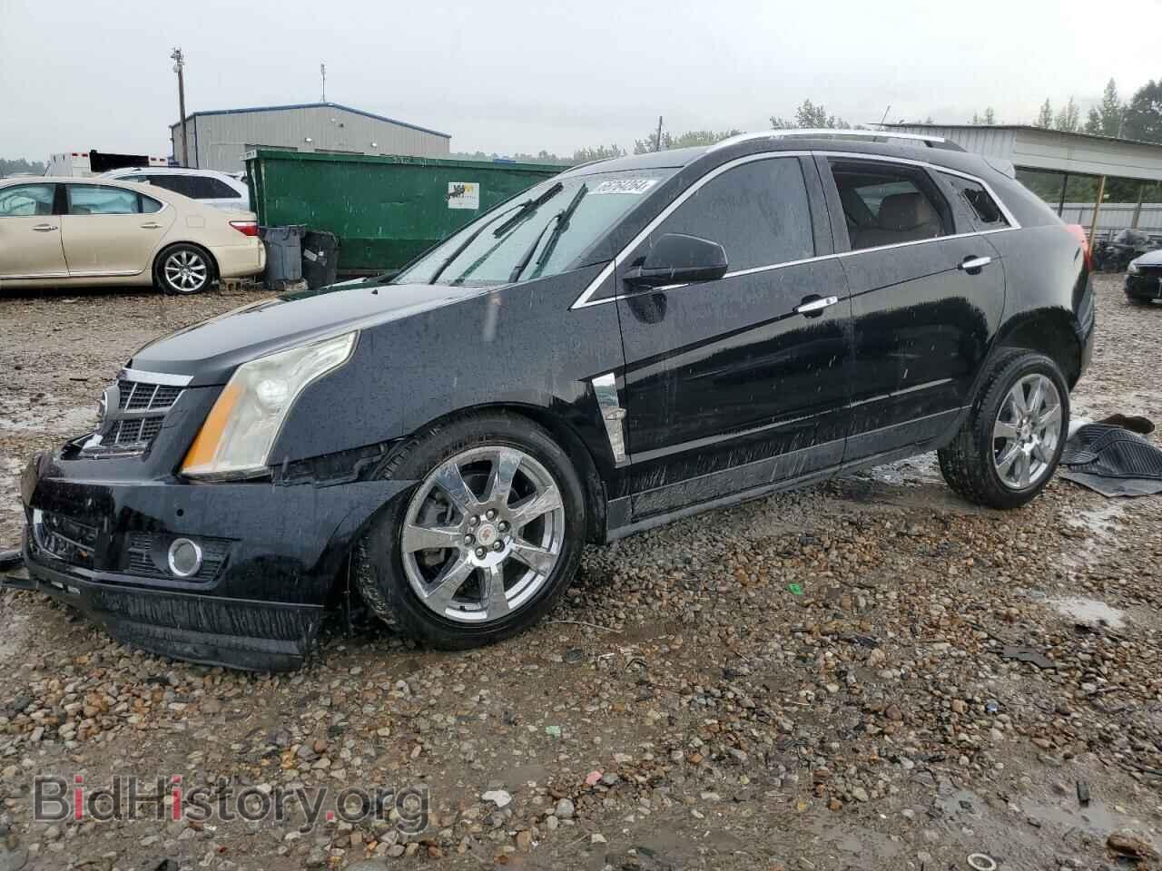 Фотография 3GYFNCE32CS512074 - CADILLAC SRX 2012