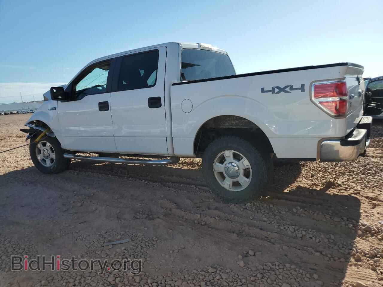 2013 FORD F-150 - VIN: 1FTFW1EF9DFB23035 - Фото 2