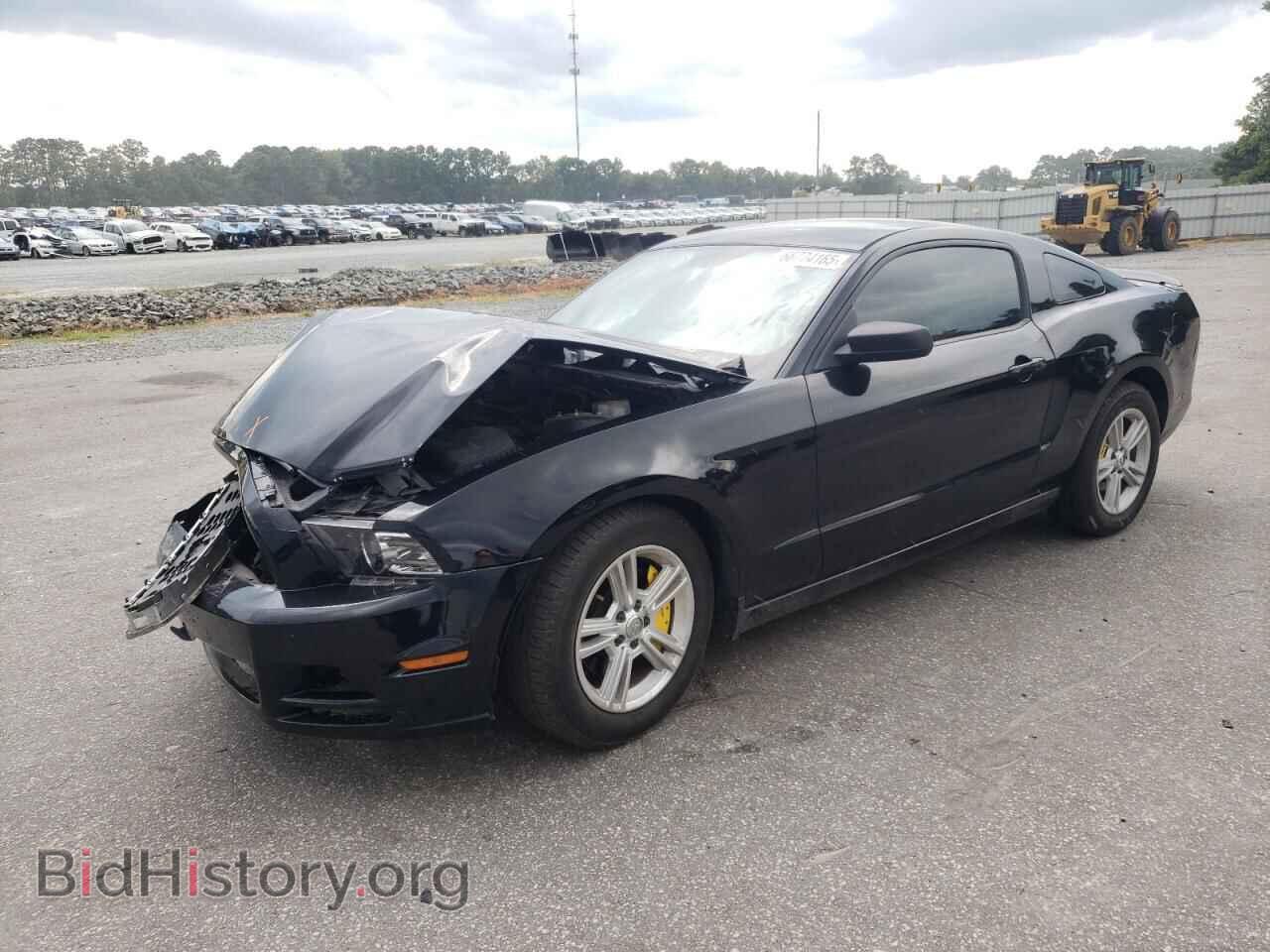 Photo 1ZVBP8AM6D5220608 - FORD ALL Models 2013