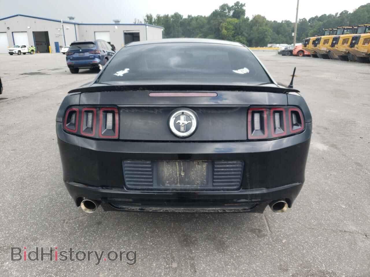2013 FORD ALL Models - VIN: 1ZVBP8AM6D5220608 - Фото 6