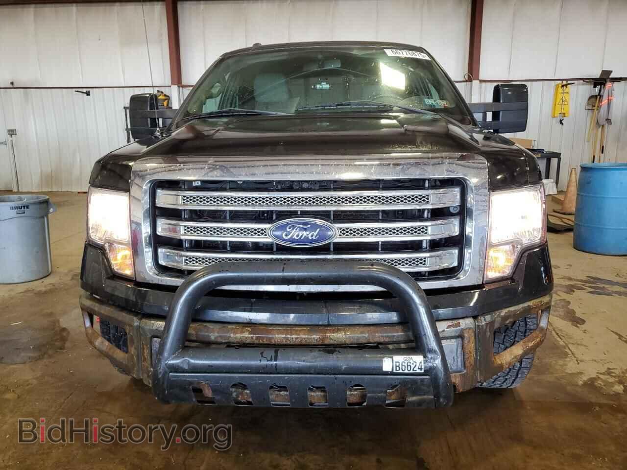 2013 FORD F-150 - VIN: 1FTFX1EF7DFB05596 - Фото 5