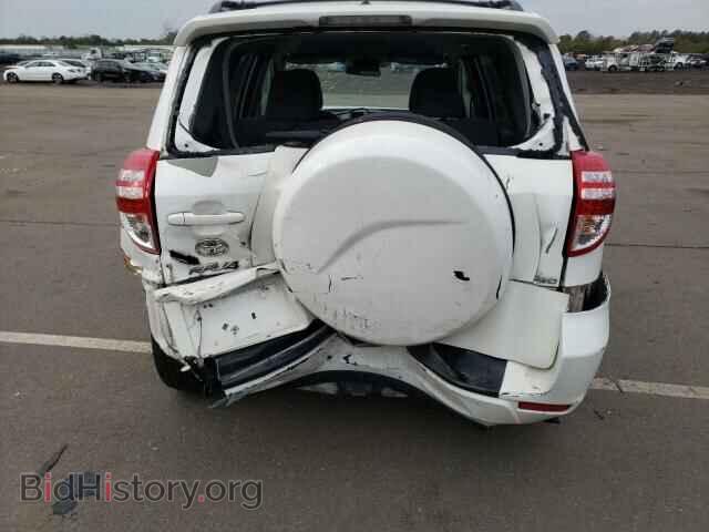 2012 TOYOTA RAV4 - VIN: 2T3BF4DV3CW196228 - Фото 9