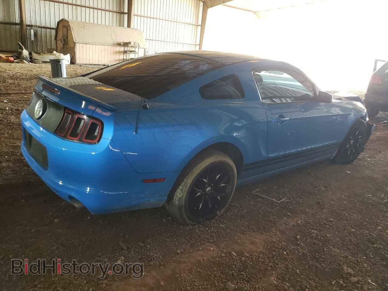 2013 FORD ALL Models - VIN: 1ZVBP8AMXD5271299 - Фото 3