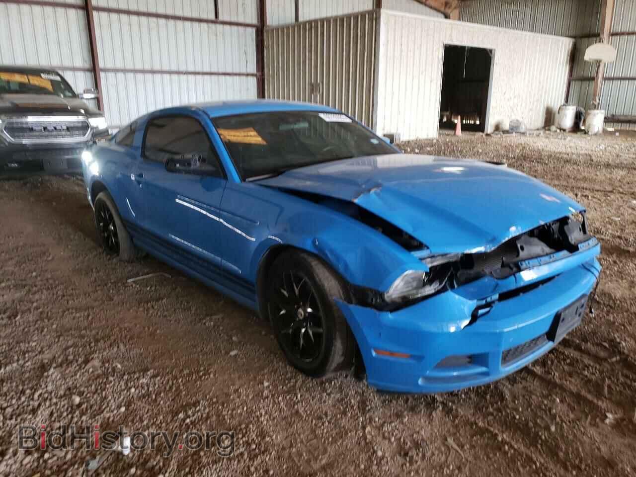 2013 FORD ALL Models - VIN: 1ZVBP8AMXD5271299 - Фото 4