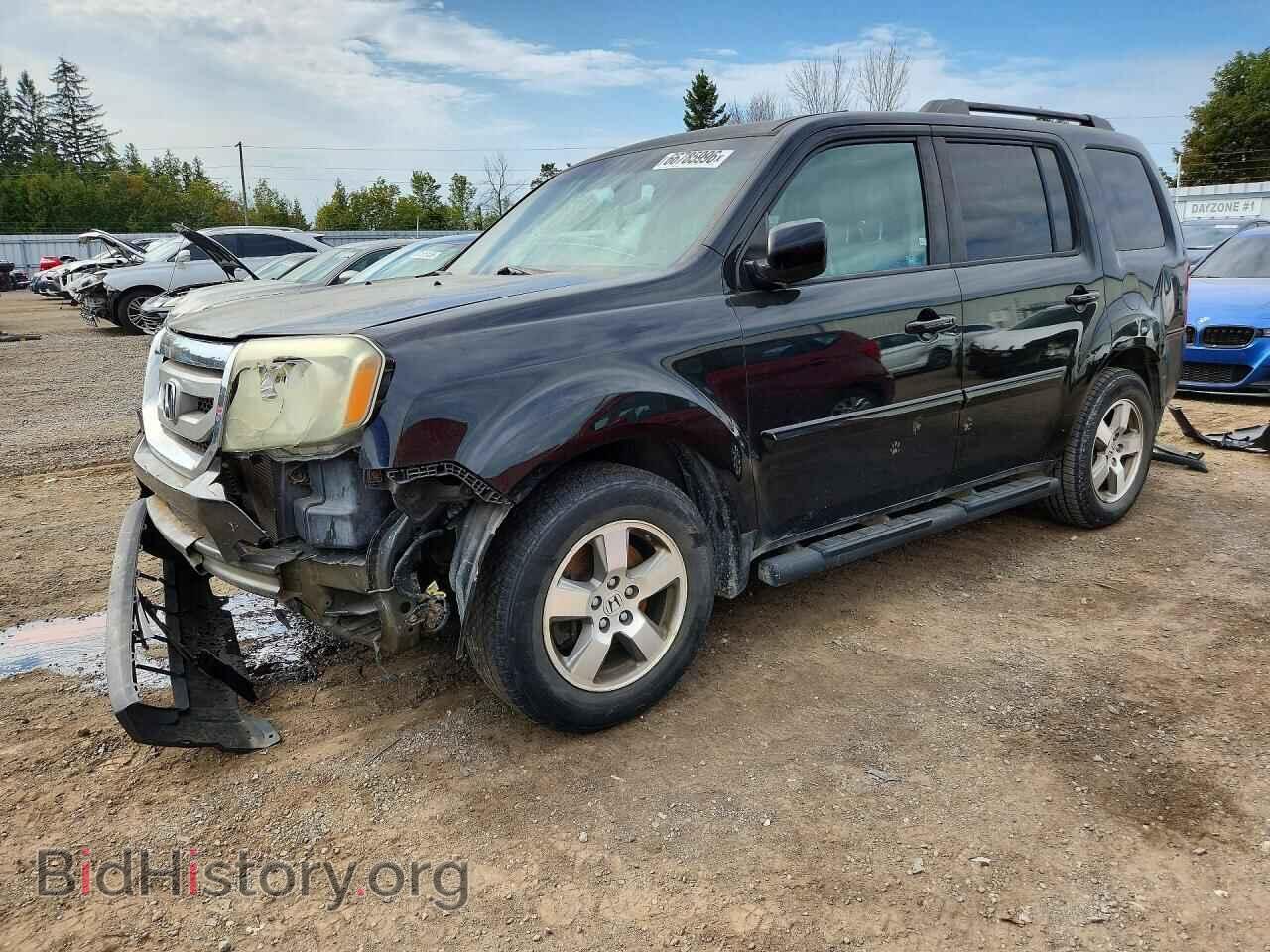 Фотография 5FNYF4H53BB506659 - HONDA PILOT 2011