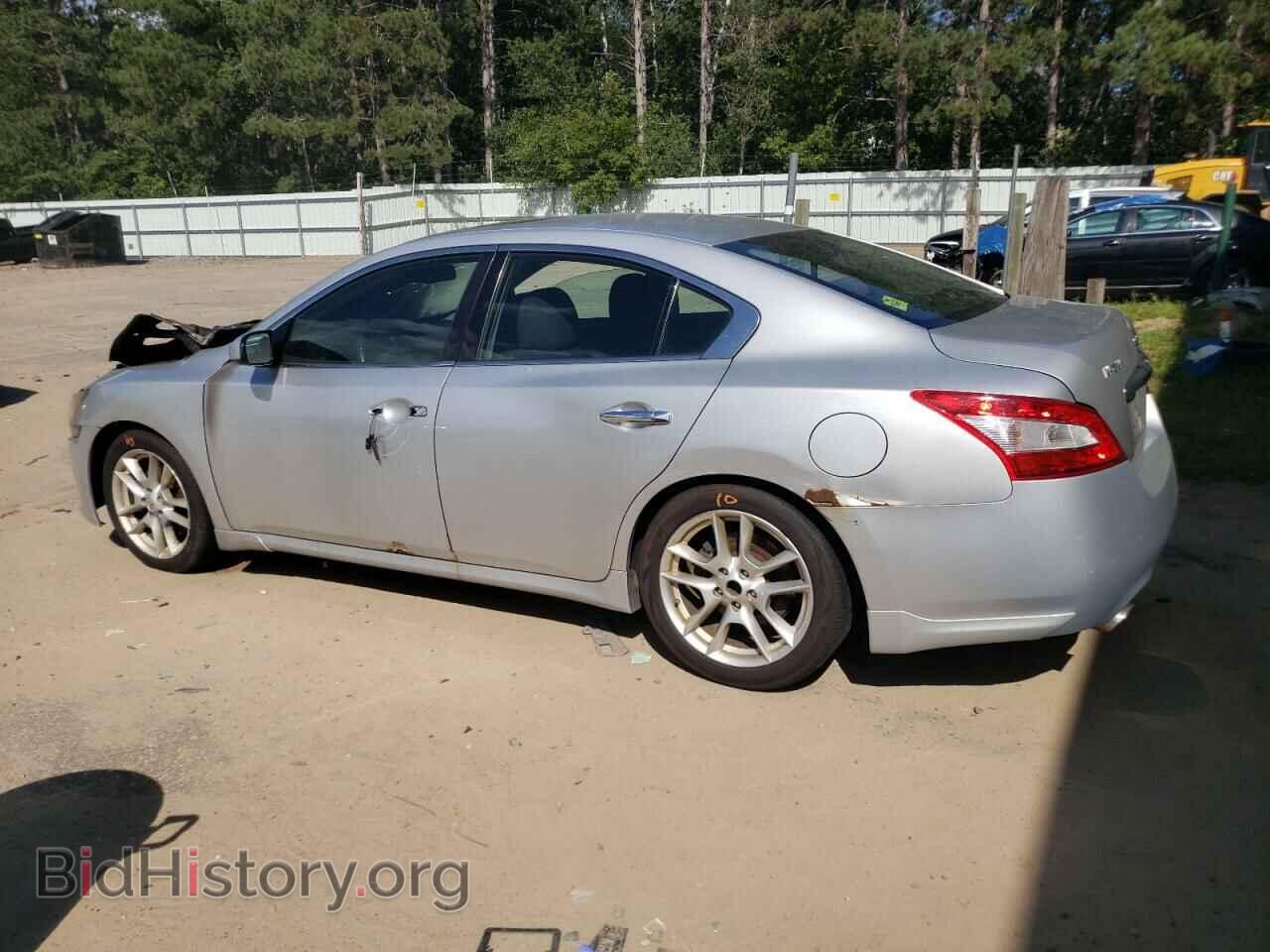 2009 NISSAN MAXIMA - VIN: 1N4AA51E19C826625 - Фото 2