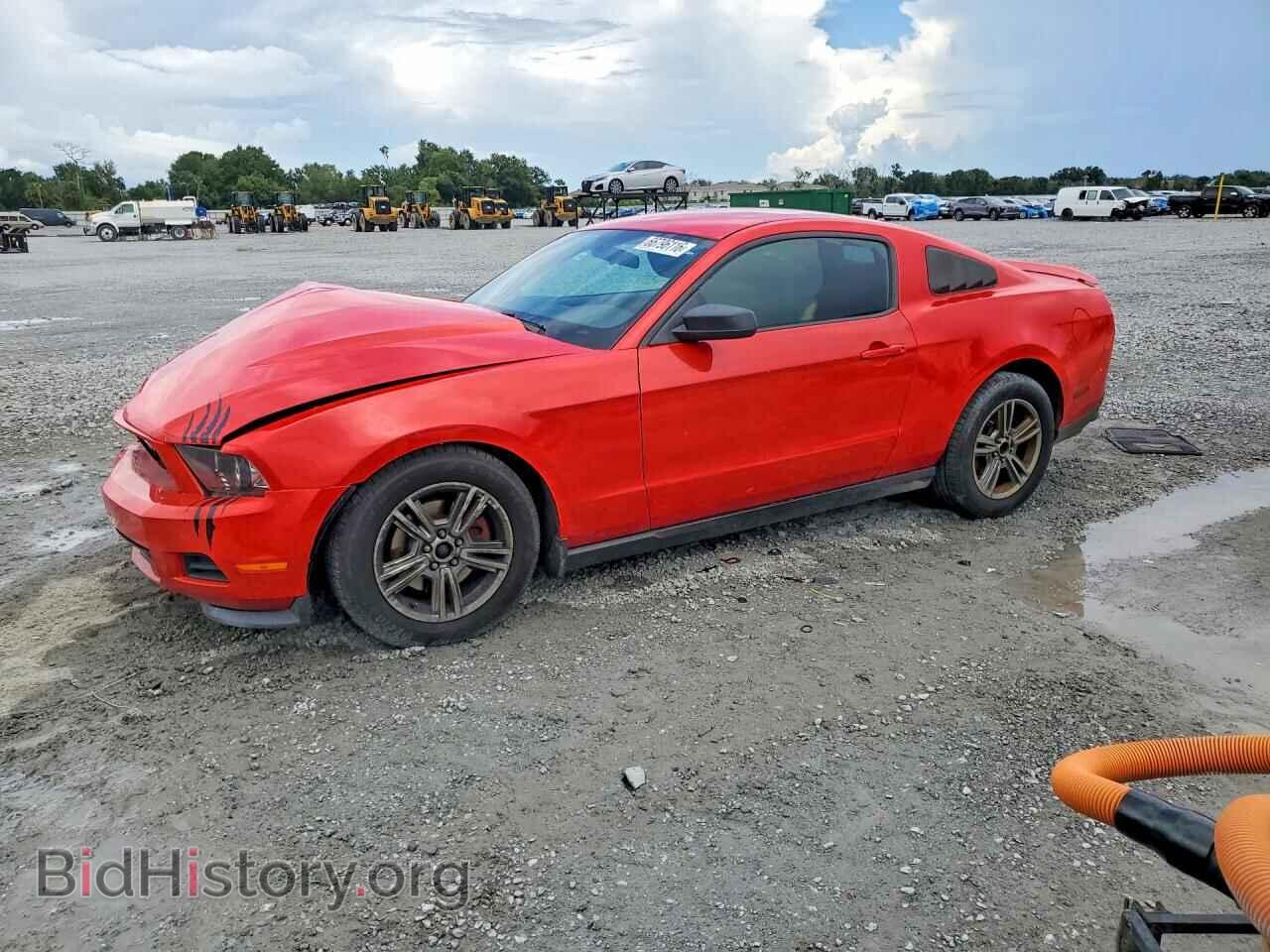 Фотография 1ZVBP8AM9B5116613 - FORD MUSTANG 2011