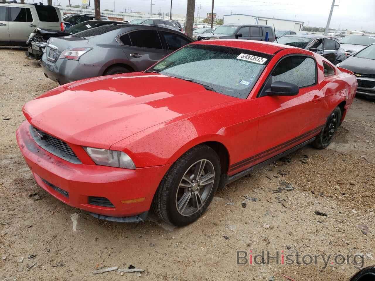 Photo 1ZVBP8AN9A5136447 - FORD MUSTANG 2010