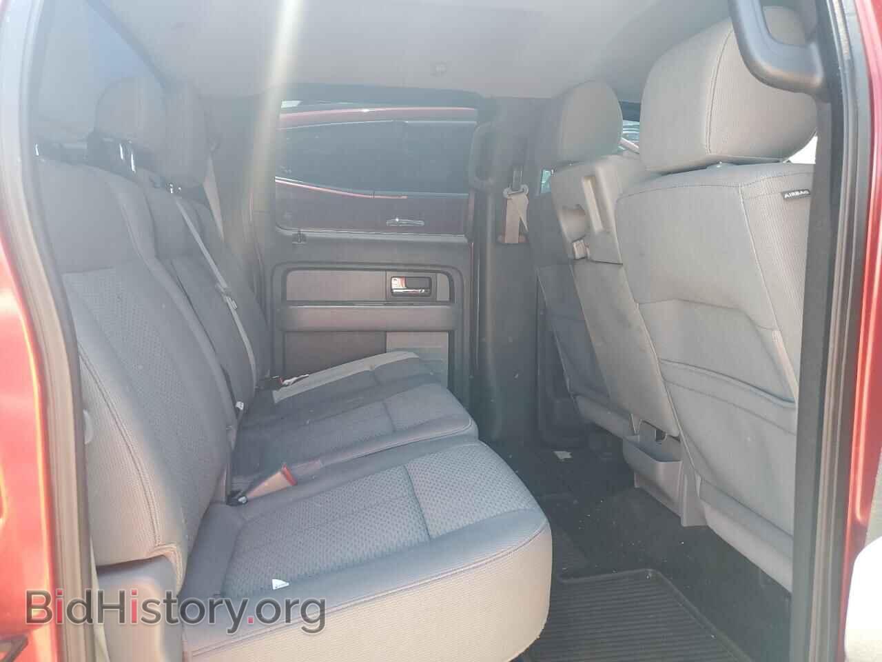 2013 FORD F-150 - VIN: 1FTFW1EF5DFD58404 - Фото 10