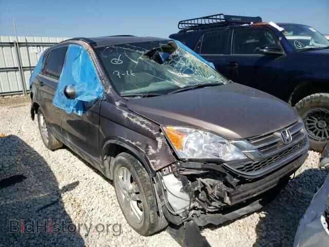Photo 5J6RE4H73BL030090 - HONDA CRV 2011