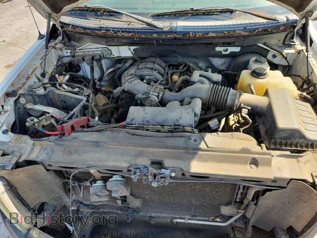 2011 FORD F150 - VIN: 1FTMF1CM5BKD84708 - Фото 11