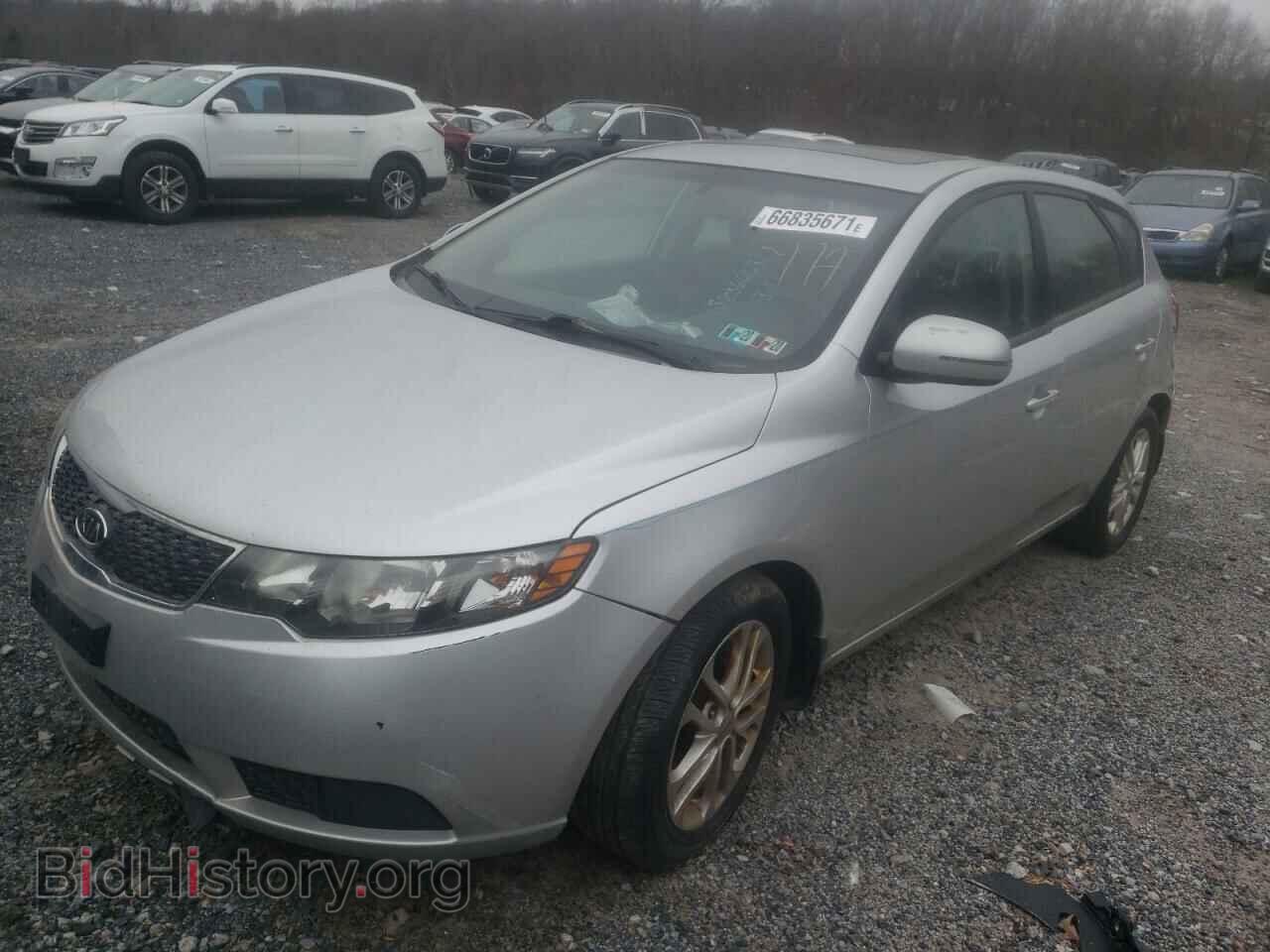 2011 KIA FORTE - VIN: KNAFU5A22B5337395 - Фото 2