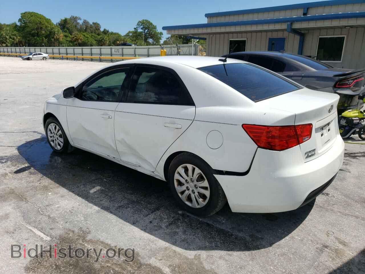 2013 KIA FORTE - VIN: KNAFT4A24D5705169 - Фото 2