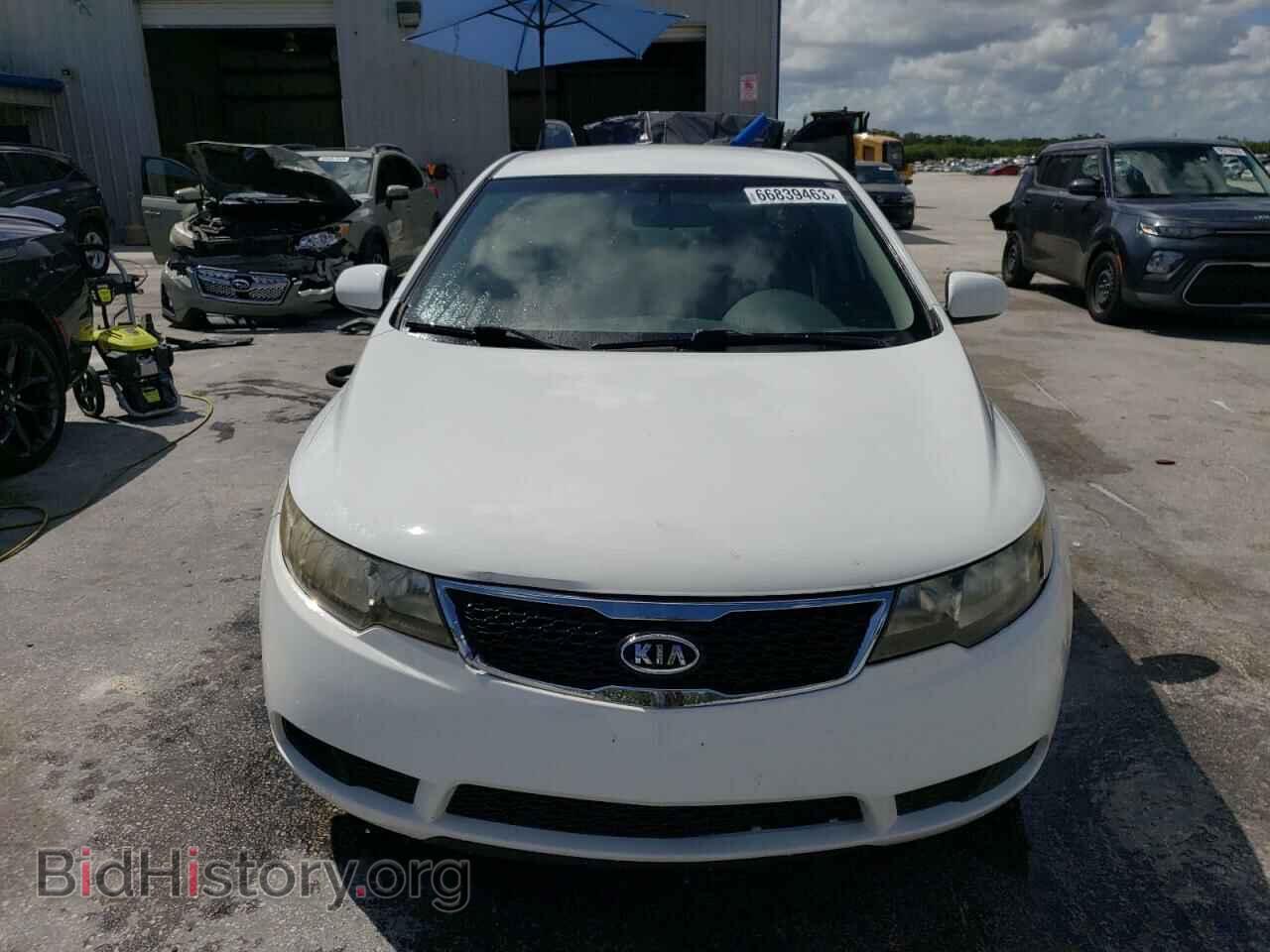 2013 KIA FORTE - VIN: KNAFT4A24D5705169 - Фото 5