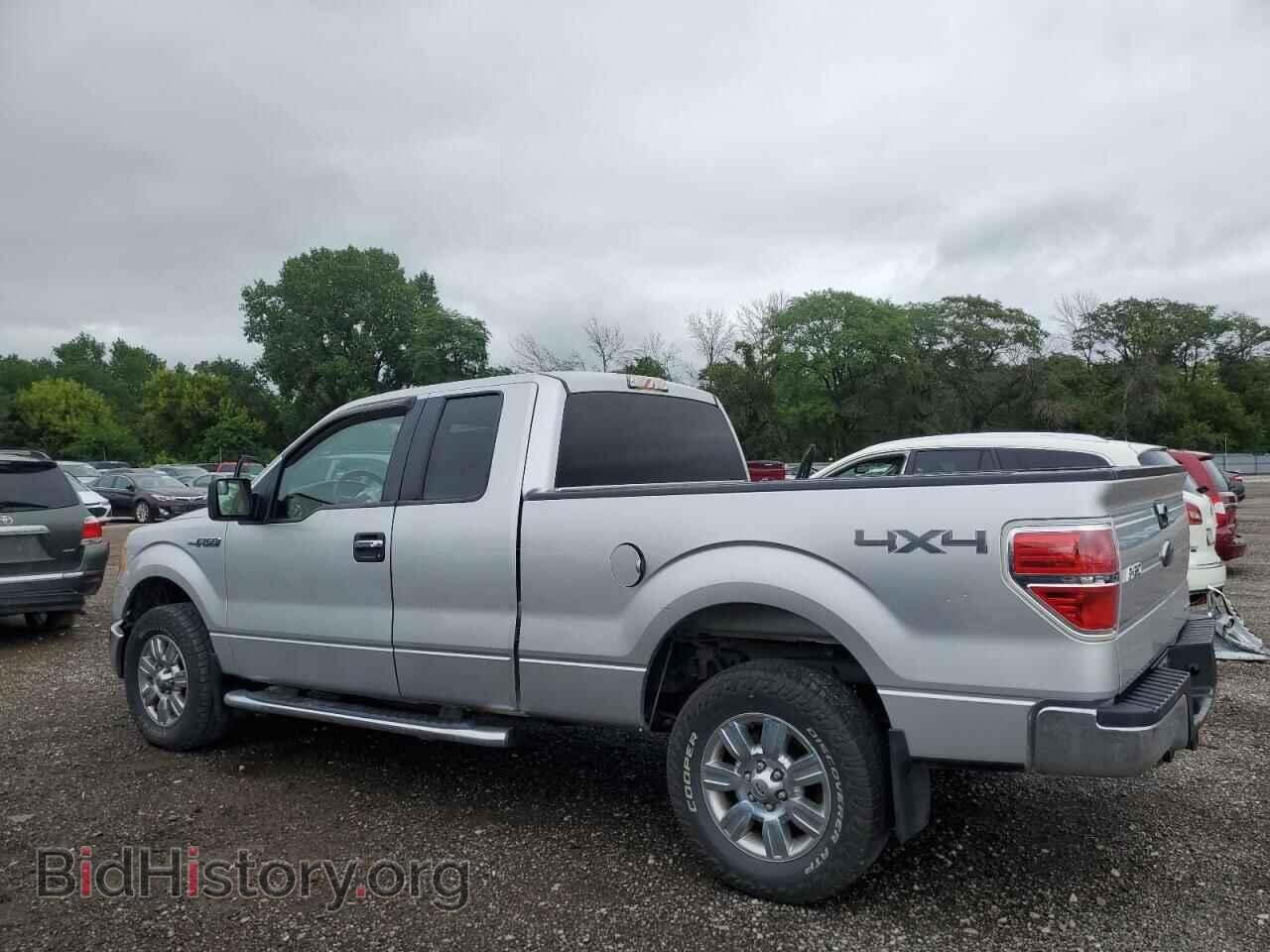 2011 FORD F-150 - VIN: 1FTFX1EF9BFA57662 - Фото 2