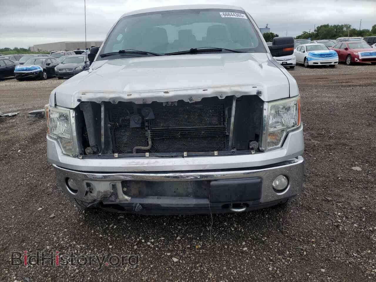 2011 FORD F-150 - VIN: 1FTFX1EF9BFA57662 - Фото 5