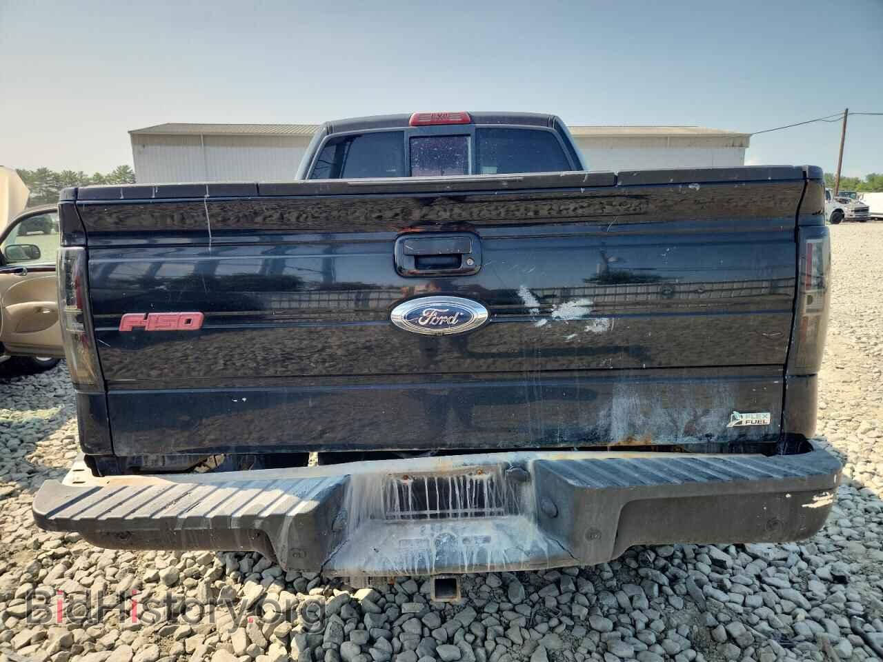 2010 FORD F-150 - VIN: 1FTFW1EV1AKE19533 - Фото 6