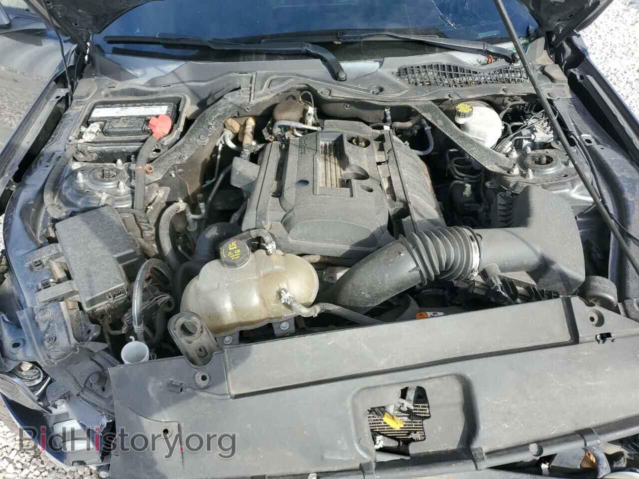 2017 FORD ALL Models - VIN: 1FATP8UH6H5293169 - Фото 11