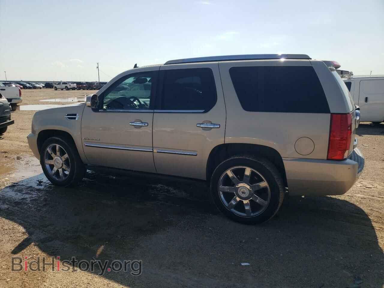 2010 CADILLAC ESCALADE - VIN: 1GYUCCEF2AR137553 - Фото 2