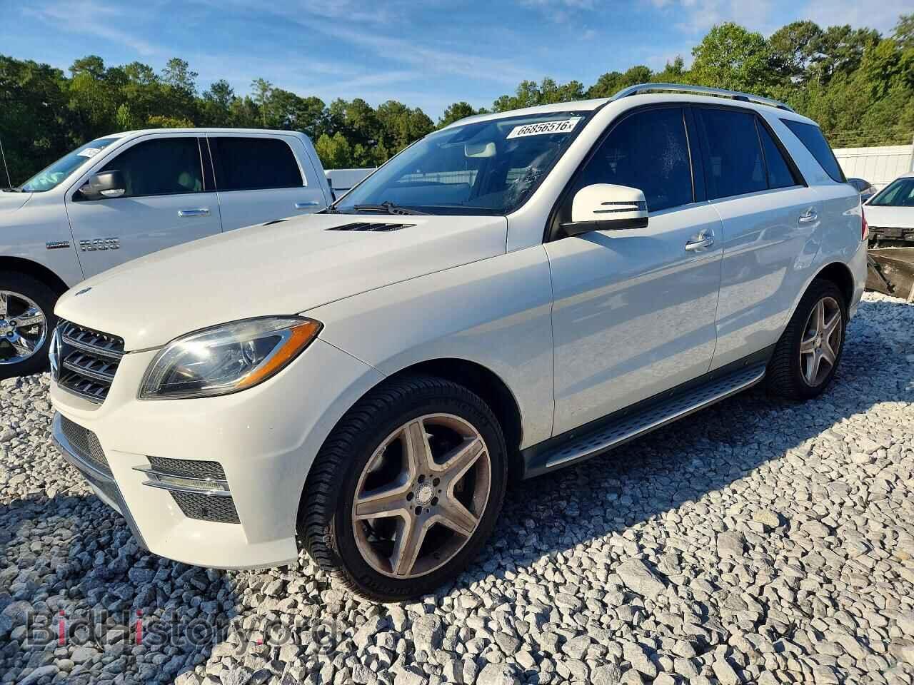 Photo 4JGDA7DB6EA397701 - MERCEDES-BENZ M-CLASS 2014