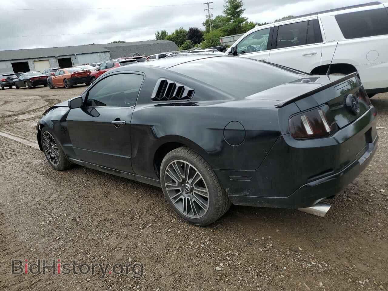 2010 FORD ALL Models - VIN: 1ZVBP8AN0A5176514 - Фото 2