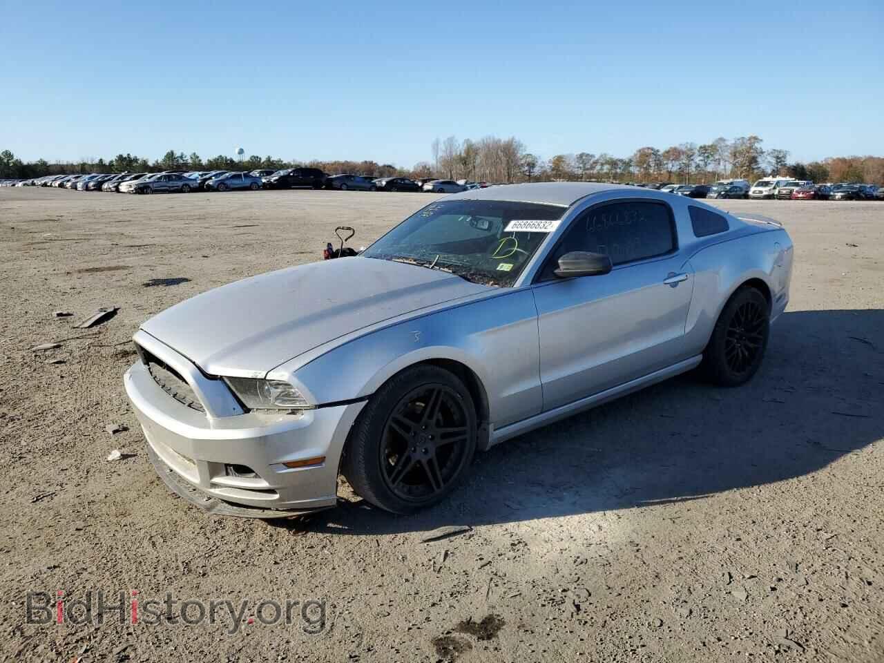 2013 FORD MUSTANG - VIN: 1ZVBP8AM4D5235172 - Фото 2