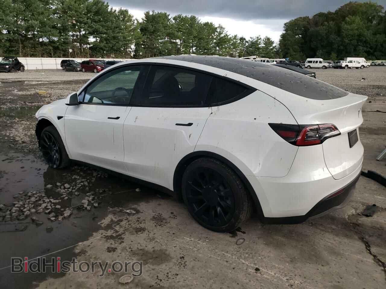 2023 TESLA MODEL Y - VIN: 7SAYGDEE5PF759820 - Фото 2