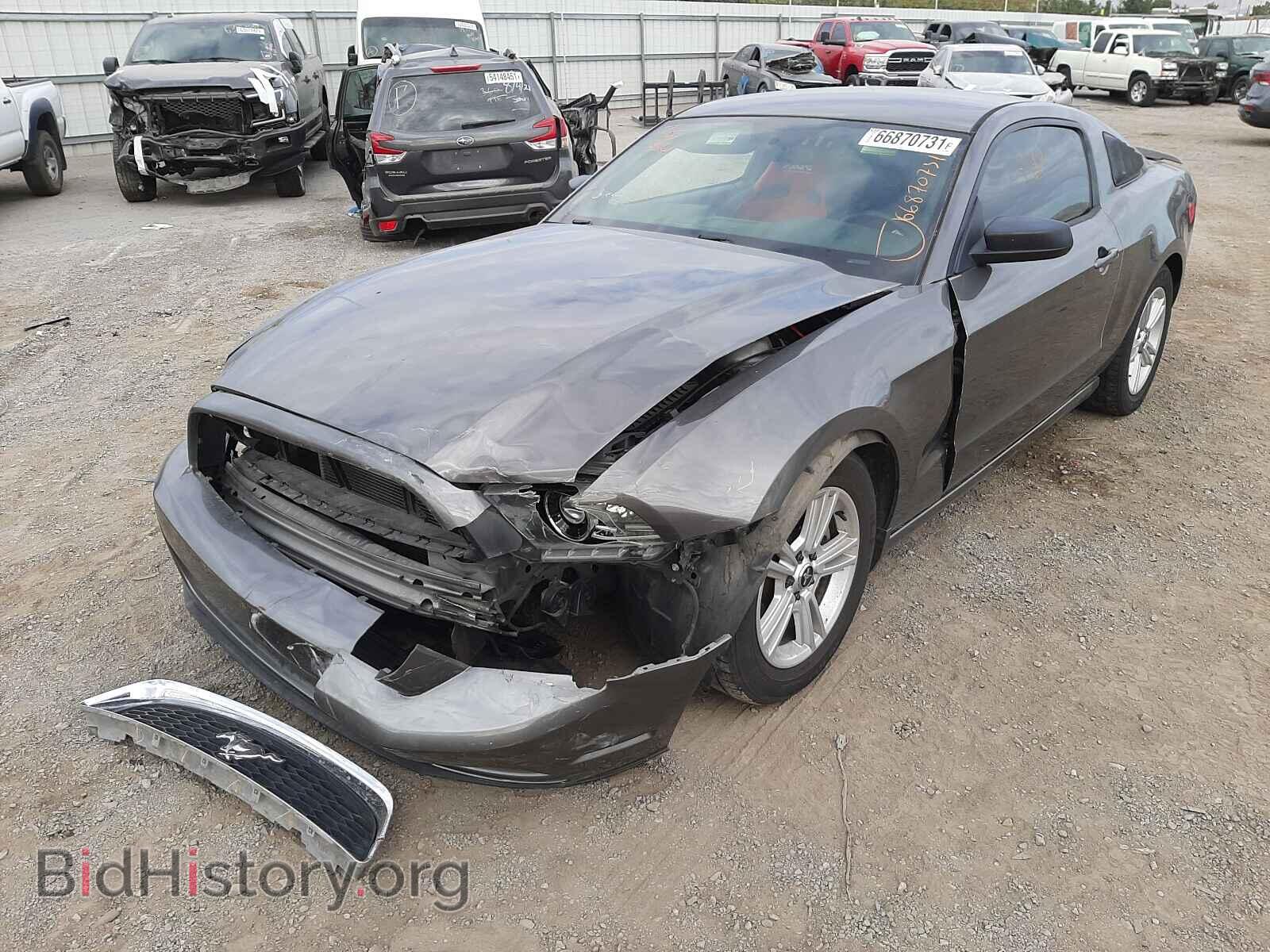 2014 FORD MUSTANG - VIN: 1ZVBP8AM8E5320212 - Фото 2