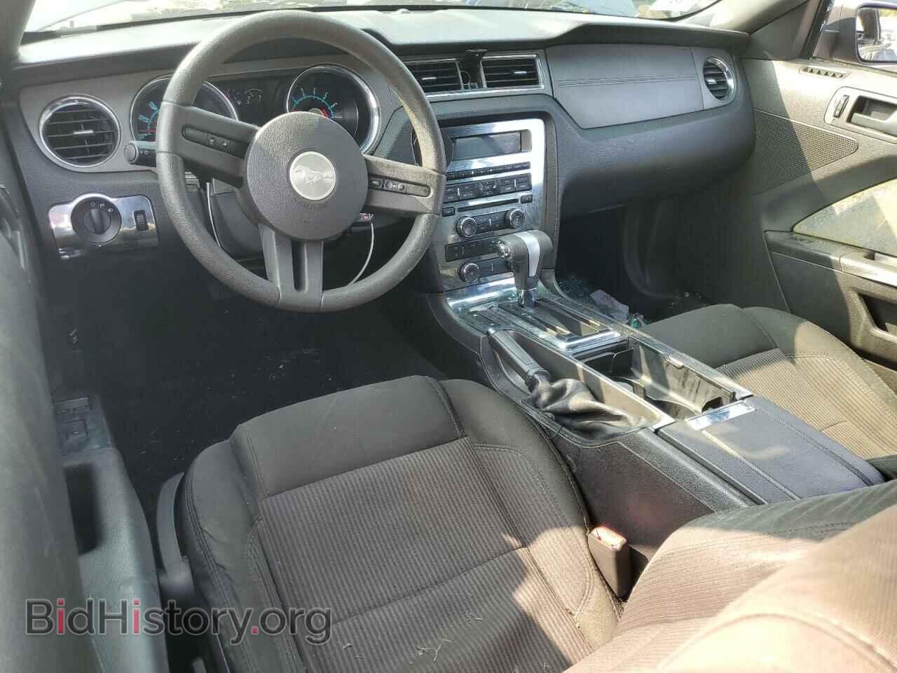 2010 FORD ALL Models - VIN: 1ZVBP8EN3A5149219 - Фото 8
