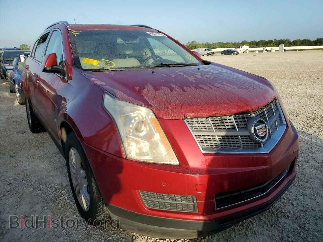 Фотография 3GYFNAEY5BS529126 - CADILLAC SRX 2011