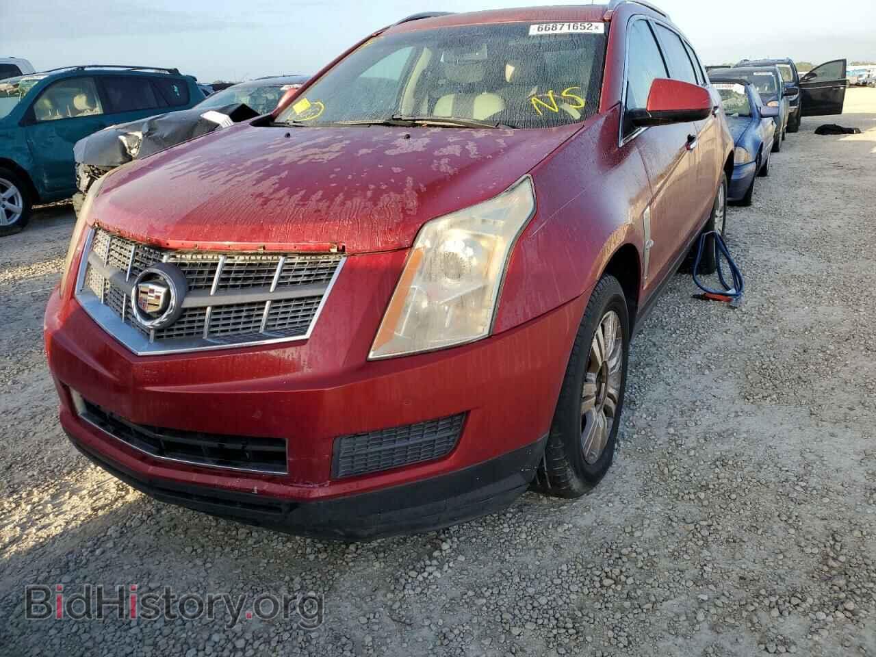 2011 CADILLAC SRX - VIN: 3GYFNAEY5BS529126 - Фото 2