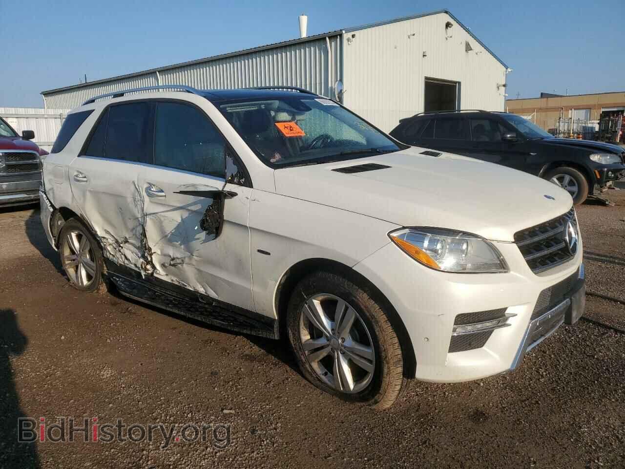 2012 MERCEDES-BENZ M-CLASS - VIN: 4JGDA2EB2CA012679 - Фото 4