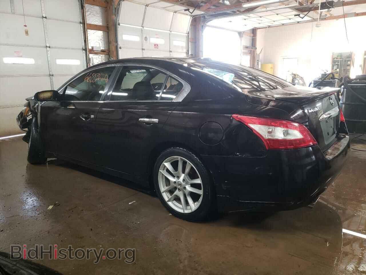 2011 NISSAN MAXIMA - VIN: 1N4AA5AP5BC852183 - Фото 2