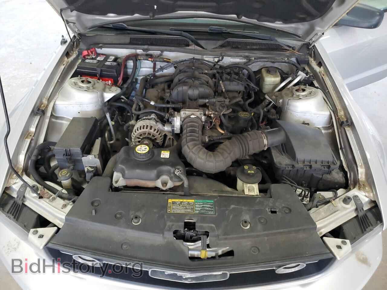 2006 FORD ALL Models - VIN: 1ZVFT80N865128281 - Photo 11