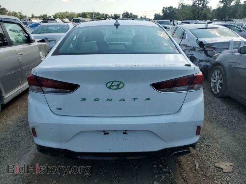 2019 Hyundai SONATA (VIN 5NPE24AF5KH730177) — фото 6 из 12