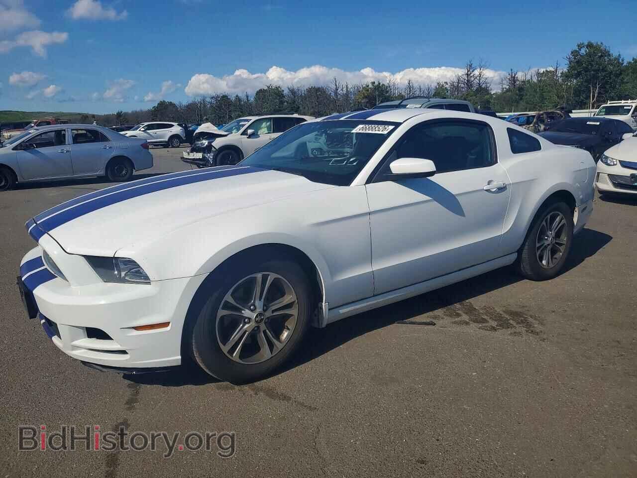Фотография 1ZVBP8AM9E5266984 - FORD MUSTANG 2014