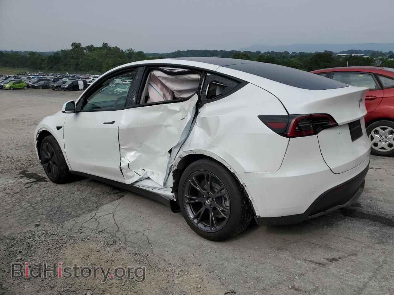 2024 TESLA MODEL Y - VIN: 7SAYGDEDXRF202766 - Фото 2