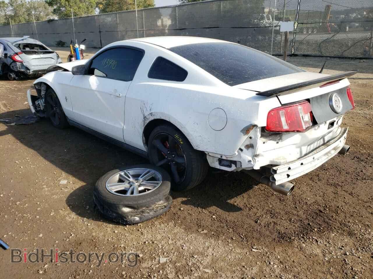 2012 FORD MUSTANG - VIN: 1ZVBP8AM3C5210181 - Фото 3