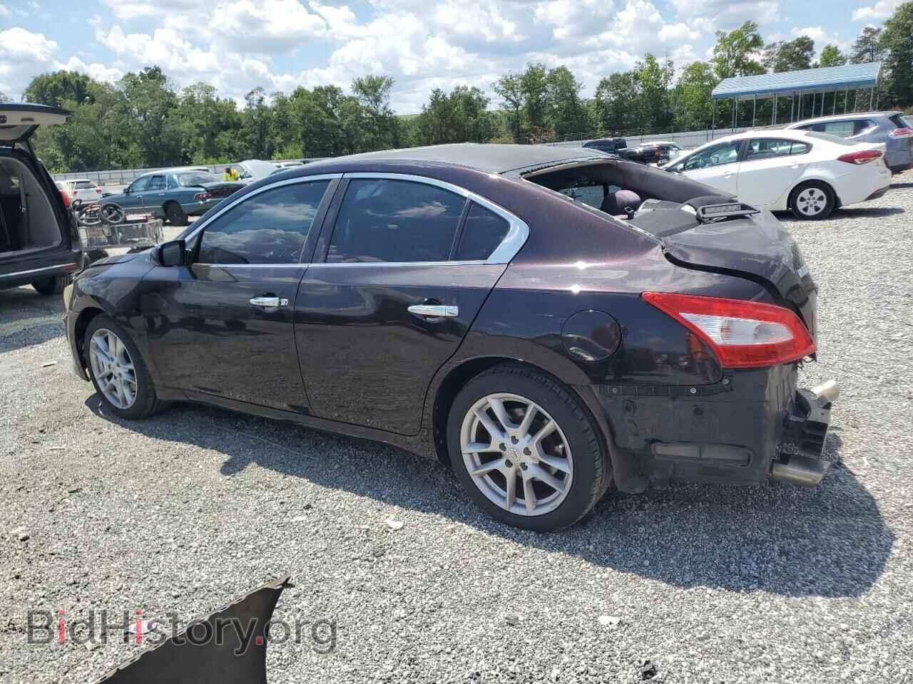 2011 NISSAN MAXIMA - VIN: 1N4AA5AP7BC832520 - Фото 2