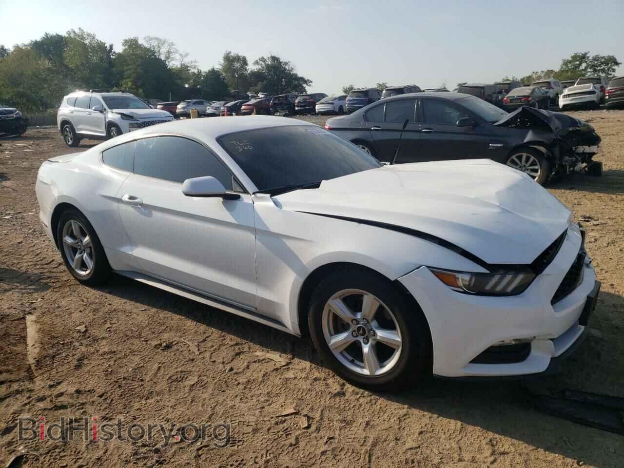 2017 FORD ALL Models - VIN: 1FA6P8AM1H5255282 - Photo 4