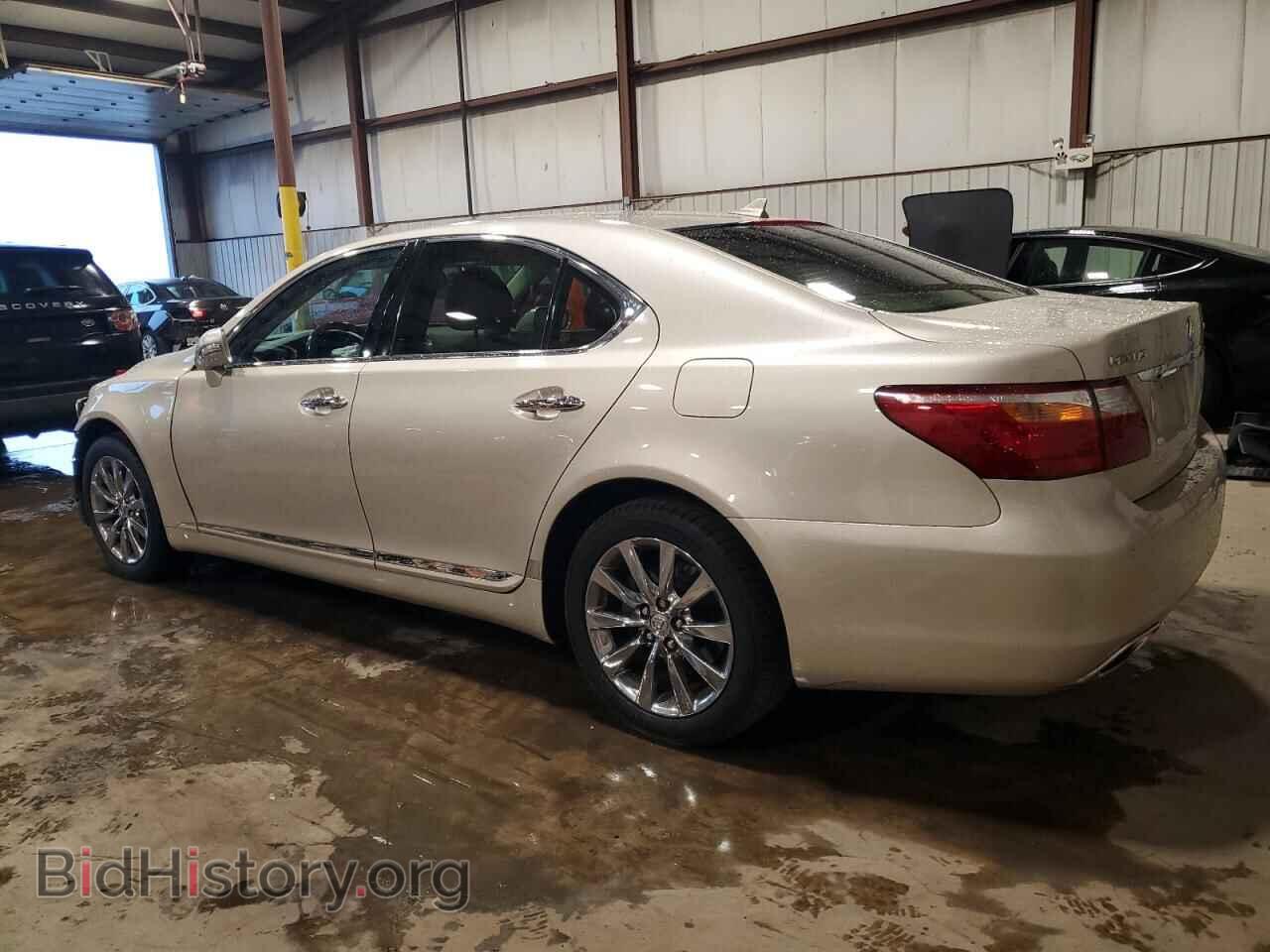 2010 LEXUS LS460 - VIN: JTHBL5EF9A5099432 - Photo 2