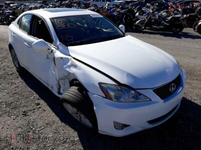 2008 Lexus IS IS 250, белый — VIN JTHBK262585081436, Copart